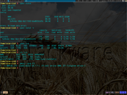 Tiling window manager ZFS